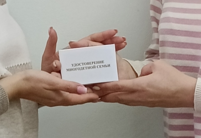 IMG 20241128 081947