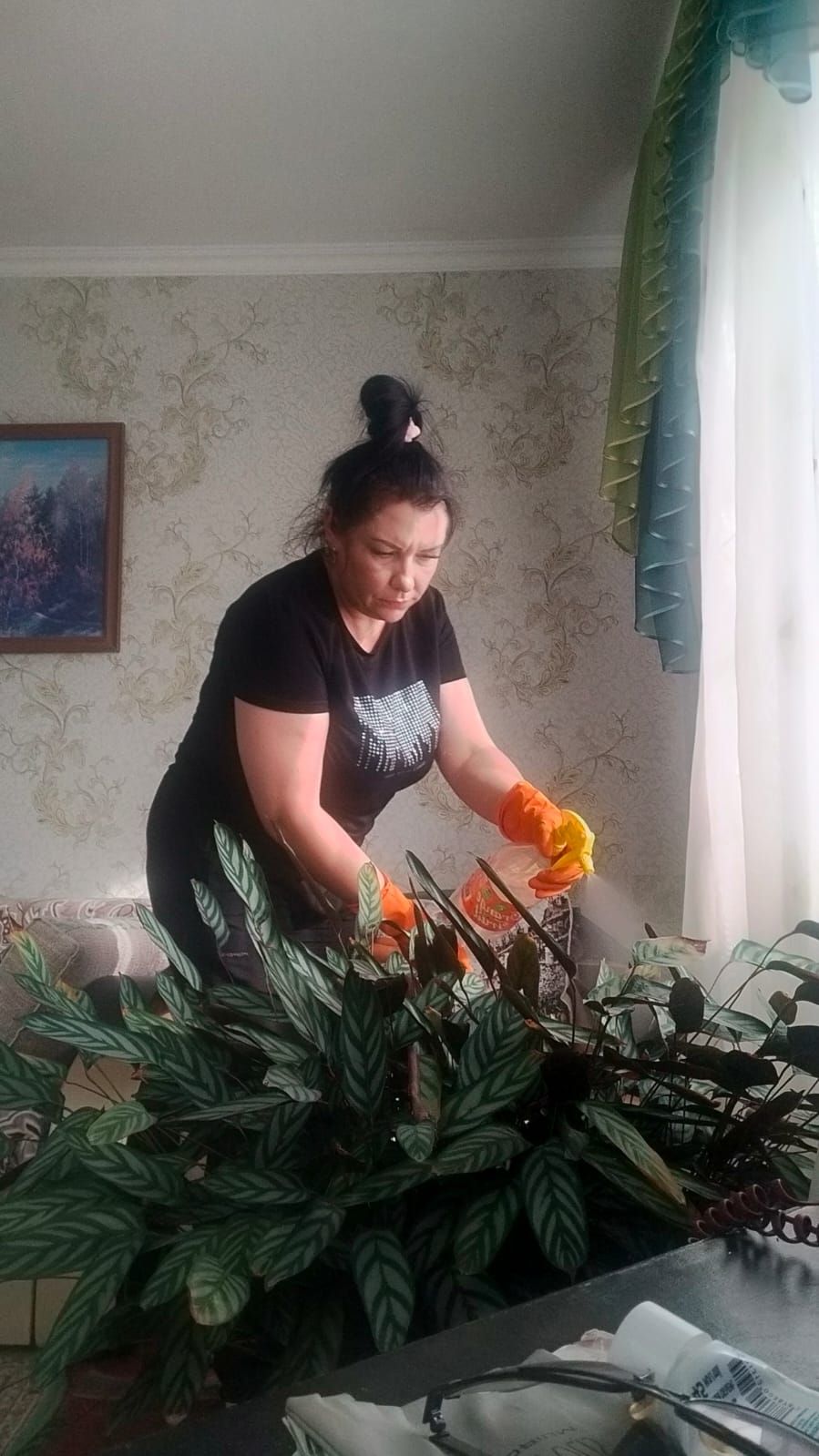 WhatsApp Image 2025 10 12 at 18.18.03