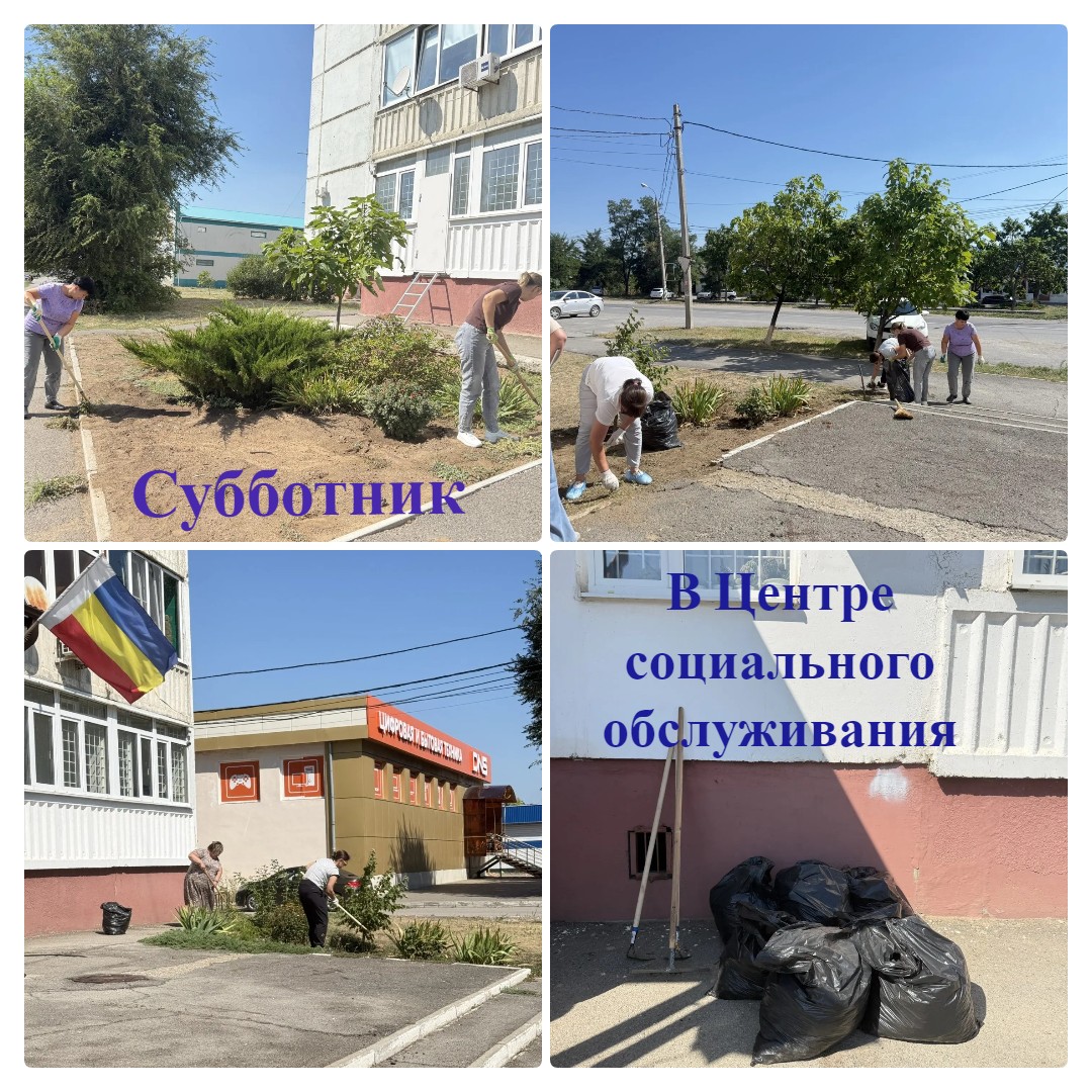 mycollages 2026 08 25 14 14 44