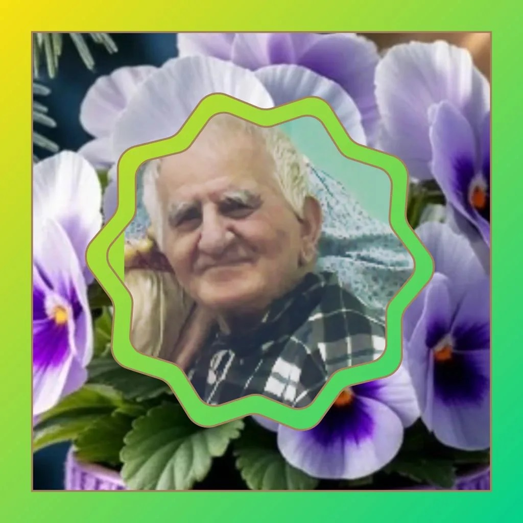 ДР в сро 2