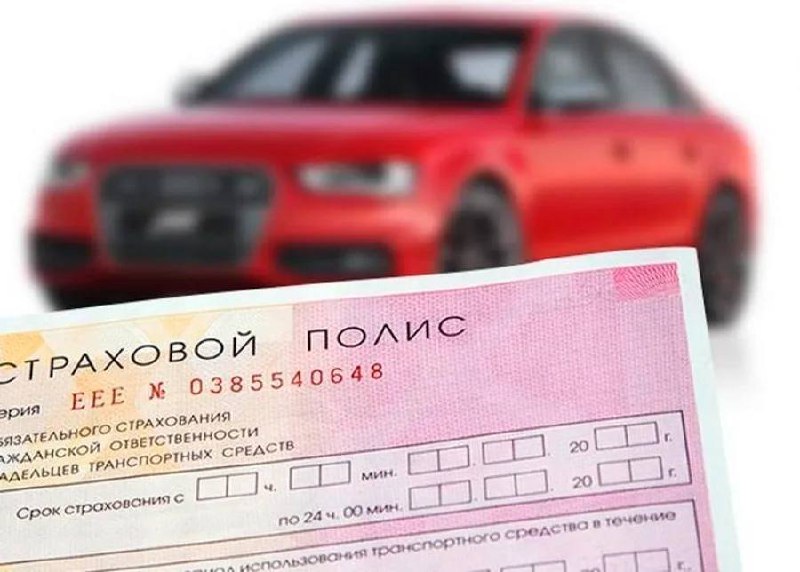 полис м